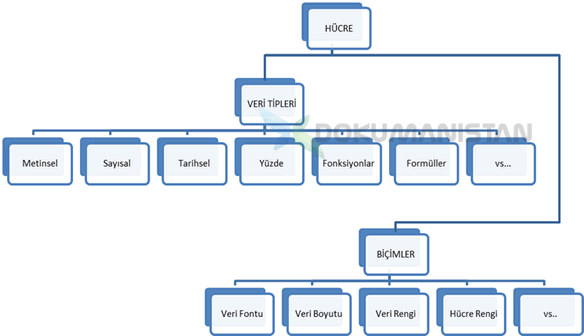 Excel Hücredeki Veri Tipleri ve Biçimler Hiyerarşisi