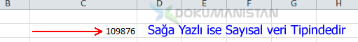 Excel Sola Yaslı ise Metin Tipindedir