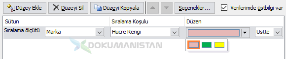 Renge Göre Düzeyli Sıralama