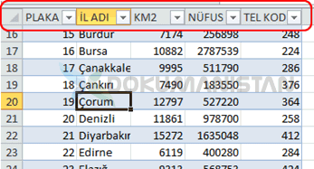 Tablo Nesnesi Oluştuğunda Tablo Başlığı Sütun Başlığında Belirir