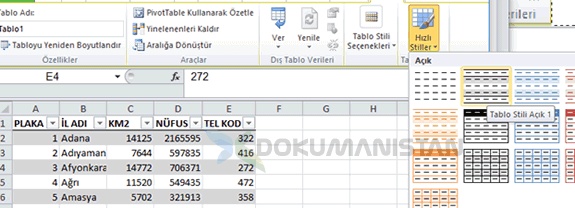 Tablo Nesnesi Tablo Stilleri