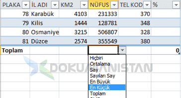 Tablo Nesnesi Toplam Satırı alanındaki Yapılabilen İşlemler