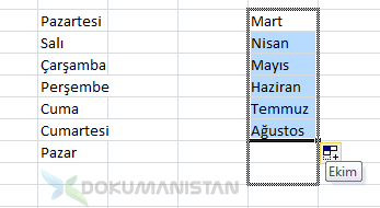 Excel günler aylar otomatik doldurur