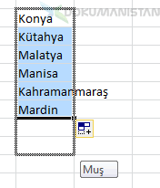 Hazırlanan Özel Liste Kullanımı