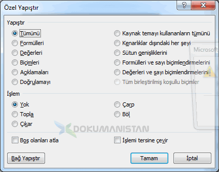 Özel Yapıştır Ekranı