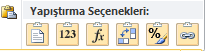Yapıştırma Seçenekleri