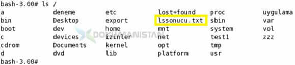 crontabs Komut Sonucu