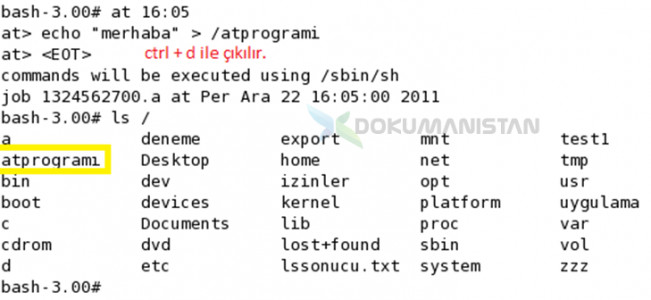 echo /atpprogramı