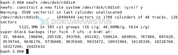 newfs /dev/dsk/c0d1s0
