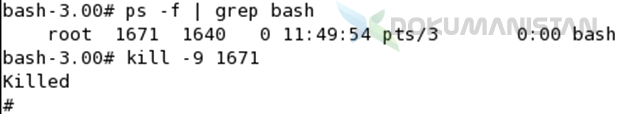 ps -f |grep bach