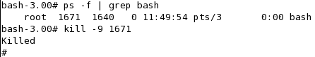 ps -f | grep bash