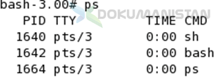 PS Komutu