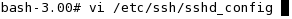 vi /etc/ssh/sshd_config