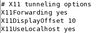 x11-tunneling-options