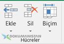 Hücreler - Cells