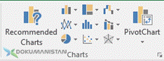 Charts - Grafikler