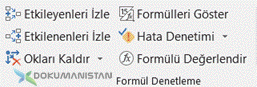 Formül Denetleme – Formula Auditing