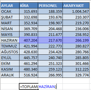 Formülde Ad Kullanımı