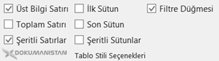 Tablo Şeritleri Seçenekleri – Table Style Options