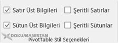 Özet Tablo Stil Seçenekleri – PivotTable Style Options