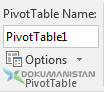 Pivot Table - Özet Tablo