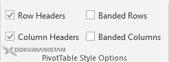PivotTable Style Options - Özet Tablo Stil Seçenekleri