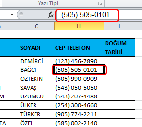 Biçim Verilerini Excele kopyalama kontrolü