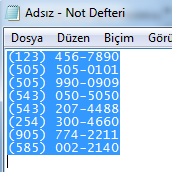 Biçim Verilerini almak için Not Defterinden kopyala