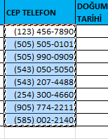 Biçim Verilerini almak için Verileri Kopyalama