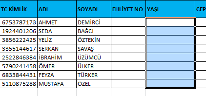 Veri Doğrulama İki Sayı Arası Yaşı Alanı Seçim