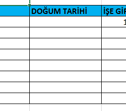 Veri Doğrulama Tarih İşlemleri Doğum Tarihi Alanı