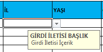 Veri Doğrulama Girdi İletisi Görünüm