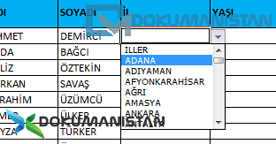 Veri Doğrulama İller Liste Görünümü