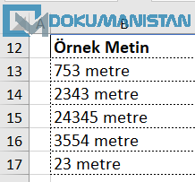 Sayıdan Metin Değerini Ayır veri