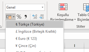 Para Birimi Biçimi
