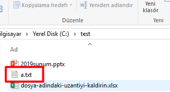 windows DIR slas txt Dosyasina Yazdirma