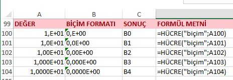 Hücre Fonksiyonu Bilimsel Biçim Formatı