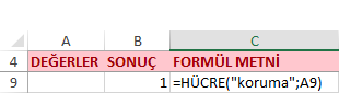 Hücre Fonksiyonu Koruma