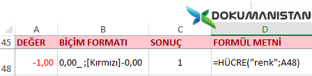 Hücre Fonksiyonu Renk Parametresi