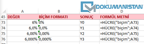 Hücre Fonksiyonu Yüzde Biçim Formatı