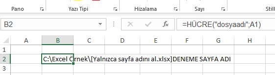 Hücre Fonksiyonu