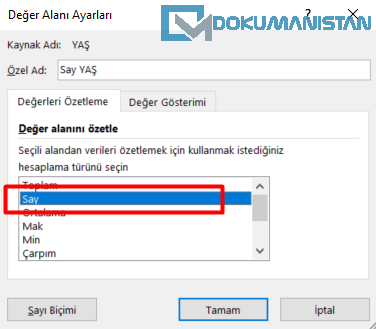 Değer Alan Ayarları Say