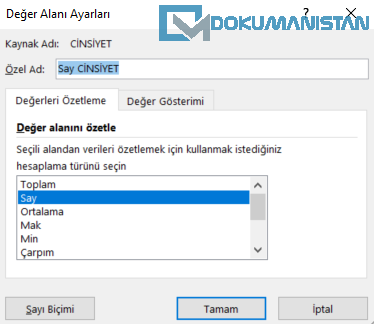 Değer Alanı Ayarları