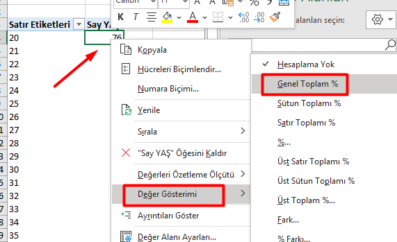 Değer Gösterimi Yüzde