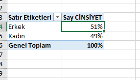 Erkek Kadın Yüzde Oranı