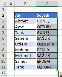 Koşullu Biçimlendirme Örnek Veri
