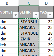 Özet Tablo Uzun İşlem Birinci Adım