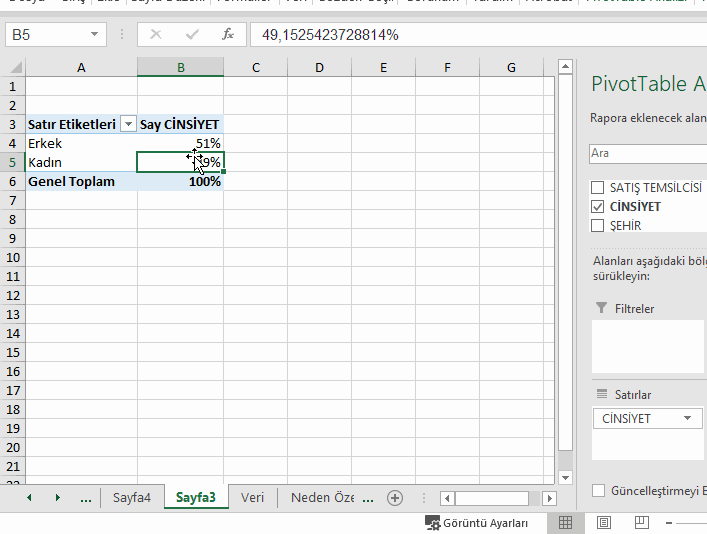 Özet Tablo Grafik Gösterimi