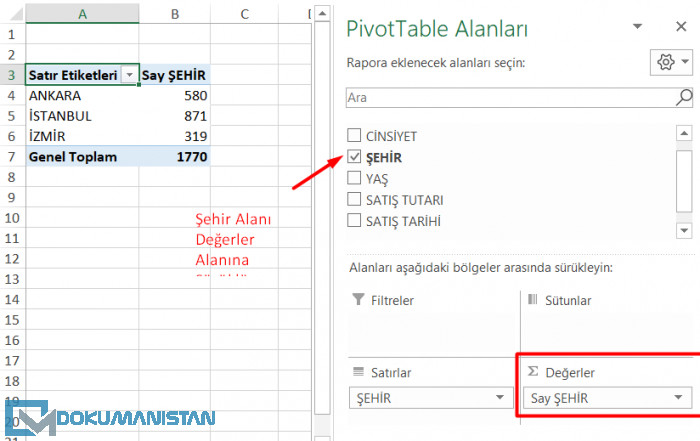 Özet Tablo Şehir Alanı Değerler Alanına Sürükle