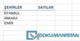 Özet Tablo Uzun İşlem Sayı Alanı Ekleme